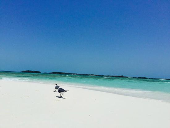 Noronky Beach is a white sand beach and one of the best in Venezuela.