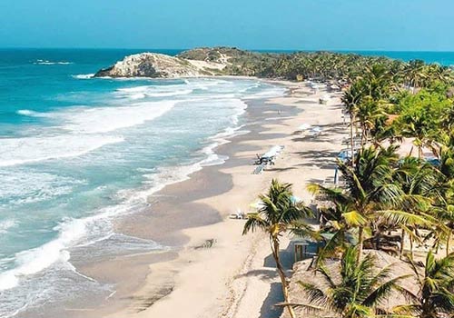 Playa Parguito is one of the most beautiful beaches in Venezuela with shite sand and palms.