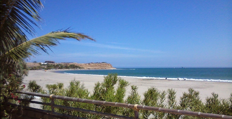 palm laced beach in peru los organos.